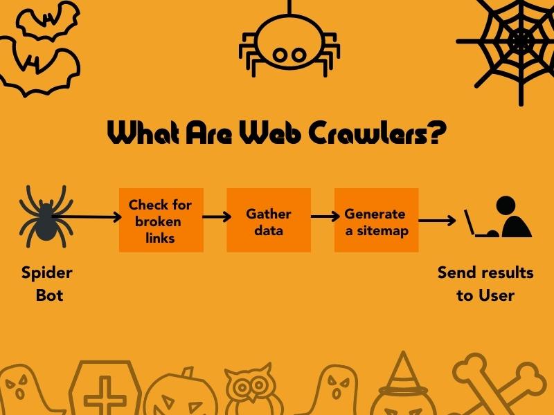 What are web crawlers?