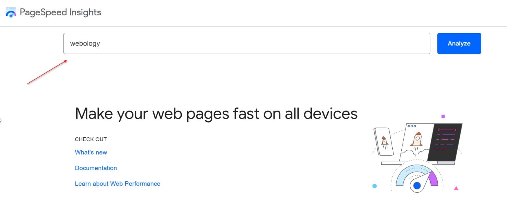 a screenshot of a browser window showing PageSpeed insights